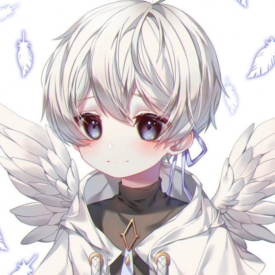 热播1